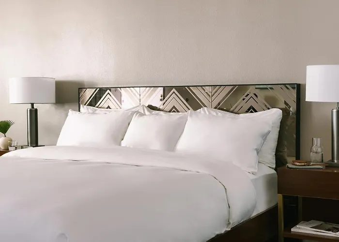 Pet Friendly hotel: The V Powered By Sonder